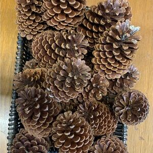 30 Decorative Brown Pine Cones